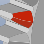 Prawema_External Teeth Chamfering